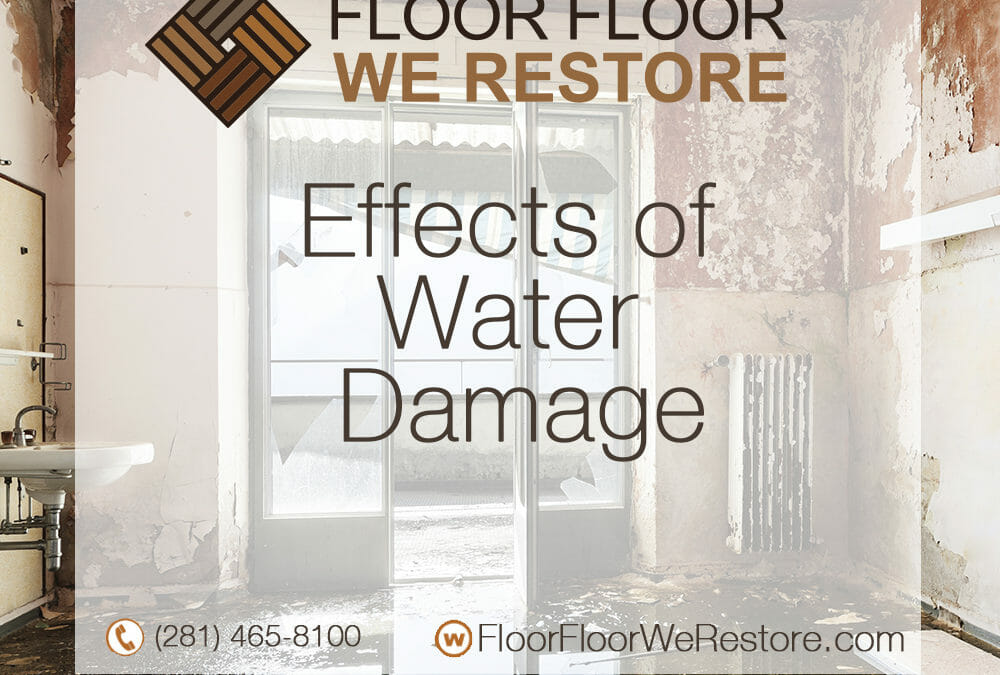 Effects of Water Damage