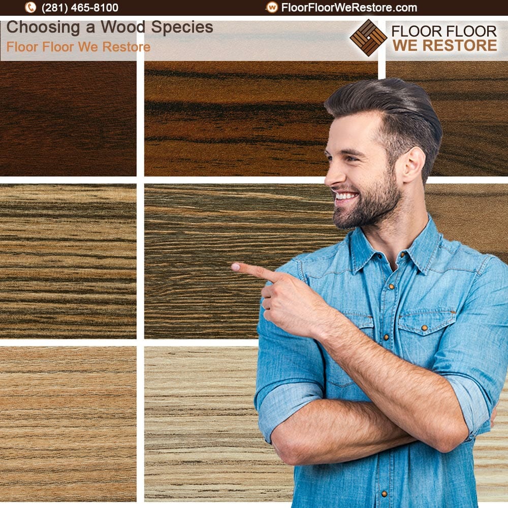 Choosing a Wood Species