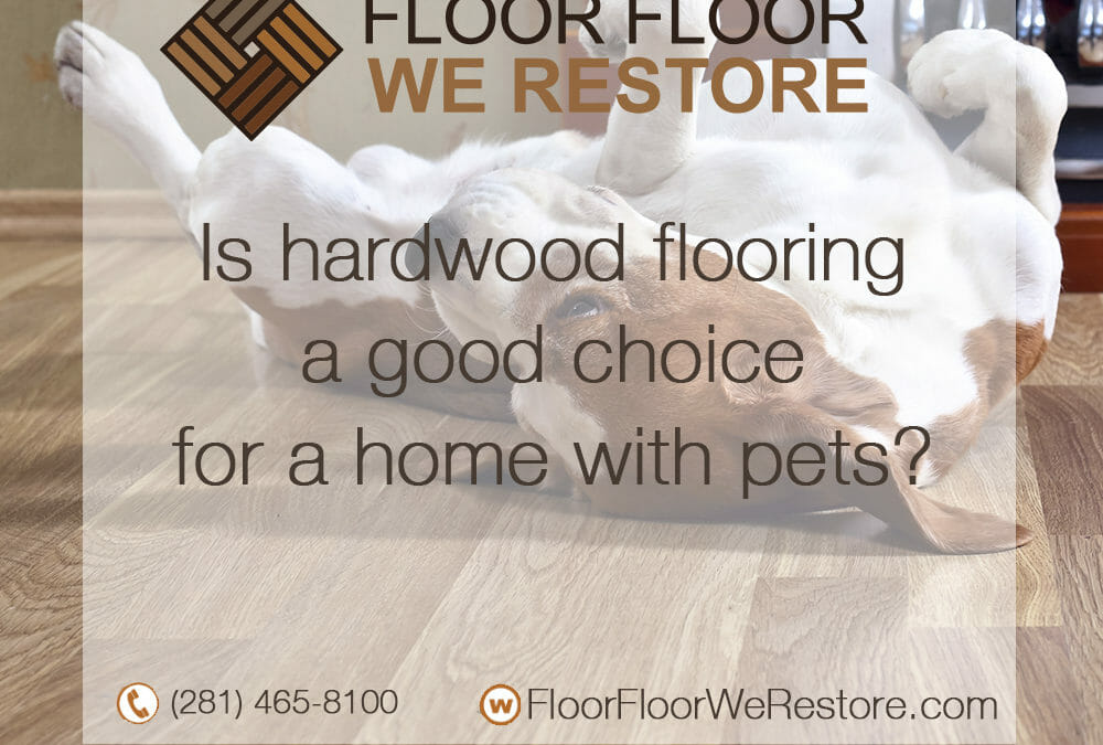 Frequently Asked Questions About Hardwood