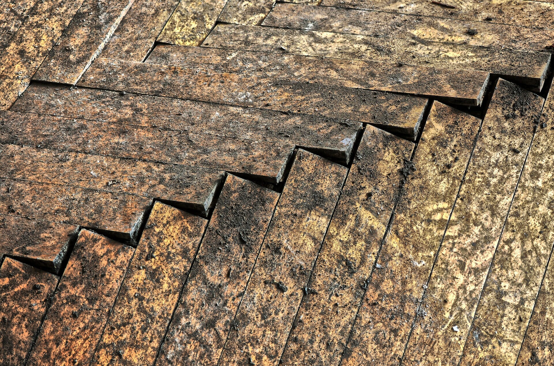 5 Steps for Repairing a Water Damaged Hardwood Floor